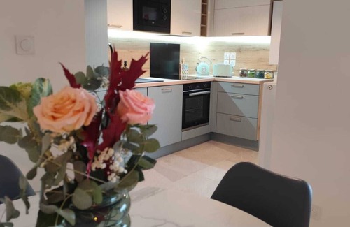 Montmerle-sur-Saone Appartement | Appt T3 65m2, sleeps 6, Montmerle Centre, Bord de Saône
