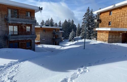 Chamrousse Appartement | apt 4/6 pers aux villages du Bachat chamrousse