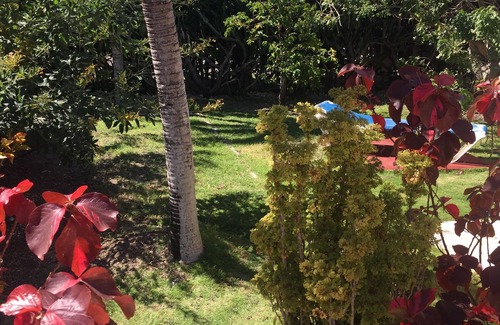 Blue Waters Appartement | Apt 5. Beautiful 2 bedroom apartment, close to restaurants and Accra beach.