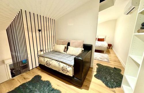 Saint Michel Appartement | Apt Disgne Climatisé Parking et Wifi Gratuit