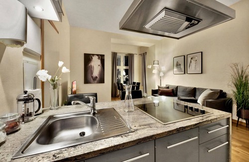 Vika Appartement | Apt. Obs. gt. 12