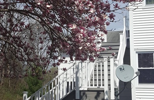 Trumansburg Appartement | Près du lac Cayuga, de la plage de baignade, de la cascade de 215 pieds, des vignobles à quelques minutes