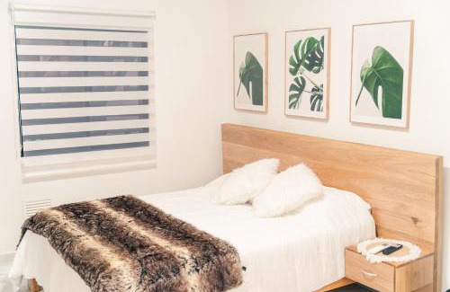 Belen Appartement | Apto 203 - Casa bendita