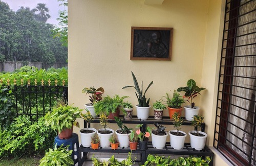 Vedic Village Villa | Aqua villa with a rooftop pool and garden
