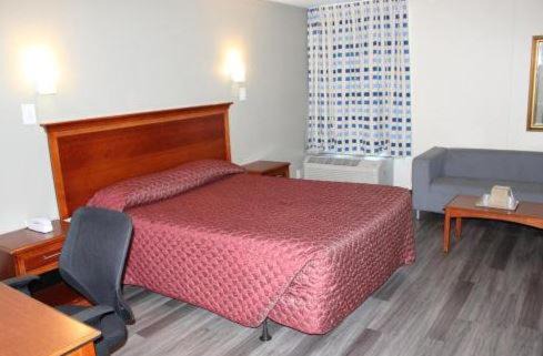 Albany Hôtel | Araamada Inn