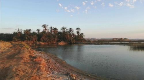 Siwa Chalet De Ski | ARABIYA house