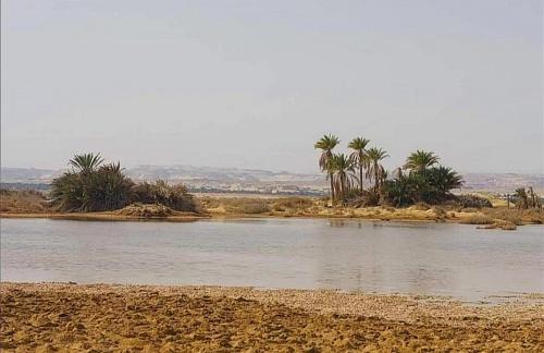 Siwa Chalet De Ski | ARABIYA house