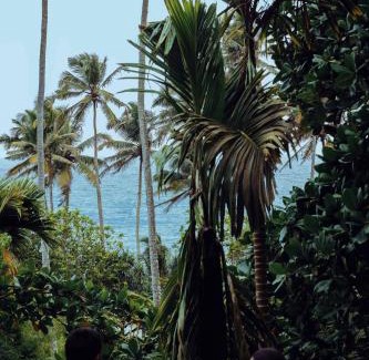 Matara Maison | Araliya Cabana with oceanview - Madiha Hill