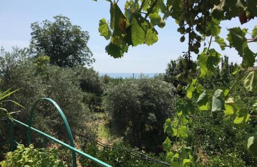 Trebisacce Maison | Arancetodamare POSEIDONE