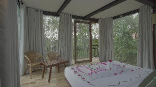 Arangala Hôtel | Arangala Forest Lodge