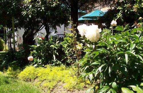 East Marion Lit Et Petit-Déjeuner | Arbor View House Bed and Breakfast