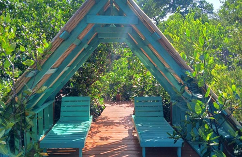 Sittee Point Cabine | Vous avez besoin d'AVENTURE?