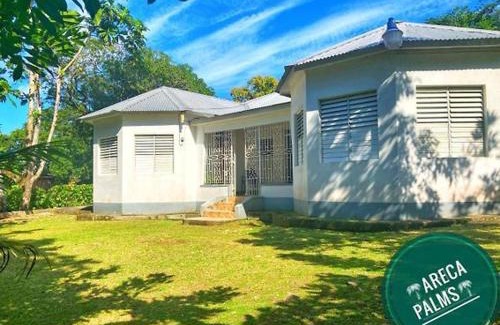 Port Antonio Maison | Areca Palms
