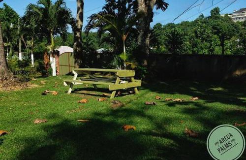 Port Antonio Maison | Areca Palms