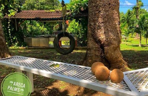 Port Antonio Maison | Areca Palms