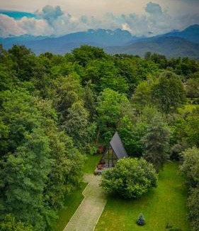 Avrig Maison | Aret House