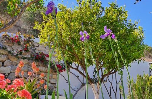 Ierapetra Maison | Arhondia House