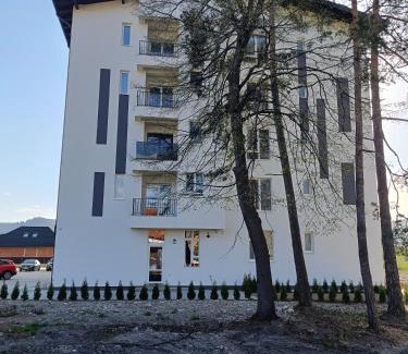 Gura Humorului Appartement | Arinis Class