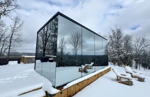 Conway Maison | Arkansas Mirror House