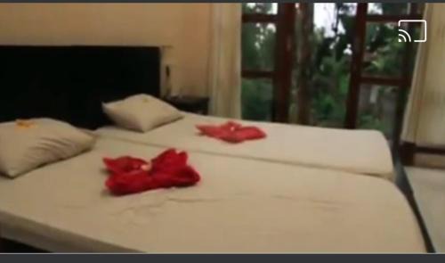 Tegallalang Maison | Arnata Guest House & Pasraman Yoga Lokanata