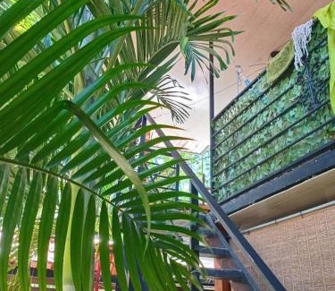 Pacuare Reserve Appartement | Arrecife
