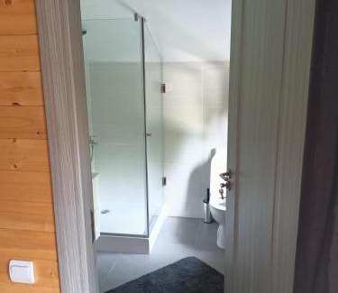 Avrig Chalet De Ski | ART House Transylvania , Valea Avrigului , Sibiu