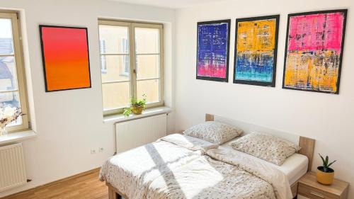 Ceske Budejovice Appartement | ART room with rooftop dinner or breakfast