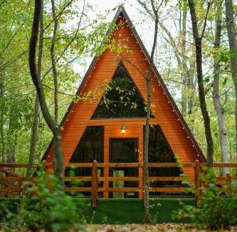 Contesti Maison | Artarica