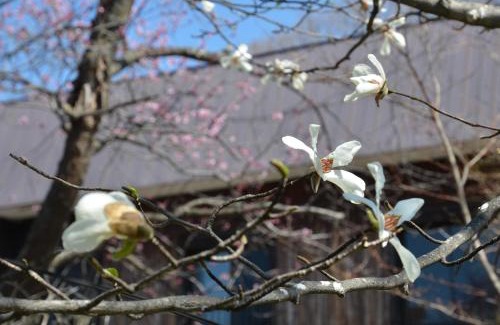 Kawayu Onsen Hôtel | ARtINn 極寒藝術伝染装置
