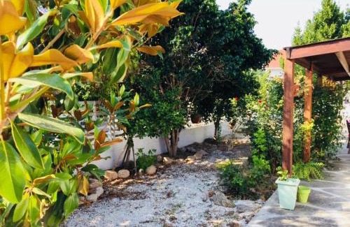 Dromolaxia Appartement | Artist Cottage in Dromolaxia