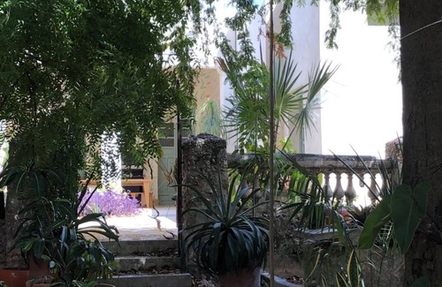 Centro Maison | Artist Home