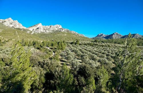 Saint-Etienne-du-Gres Lit Et Petit-Déjeuner | Arty Provence, vue, calme et piscine chauffée dans les Alpilles proche St-Rémy-de-Provence