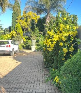 Greater Johannesburg Metropolitan Area Appartement | Artzys Studio