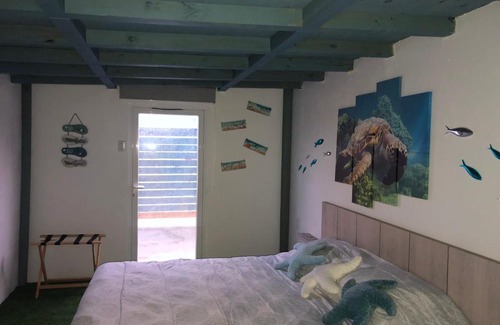 Shiribana Autre | Aruba Local Stay