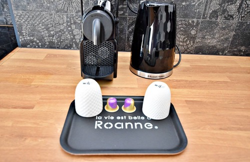 Roanne Copropriété | Suite Arum avec terrasse