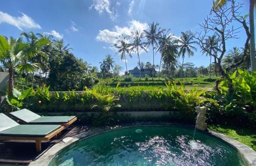 Tegallalang Station Balnéaire | Arvanya Villa Ubud