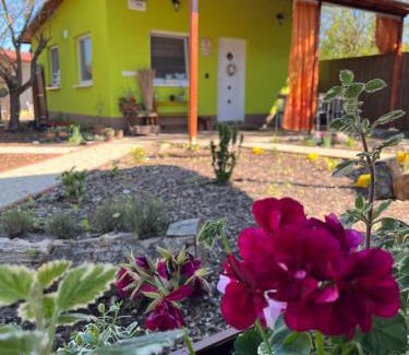 Zsombo Appartement | Arvisura Vendégházak family and pet friendly apartments