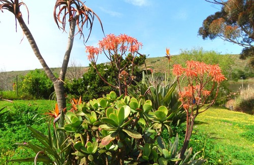 Malagas Maison | Ashanti House - Living The Breede