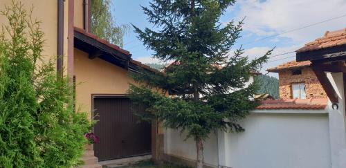 Govedartsi Maison | Ashkova House