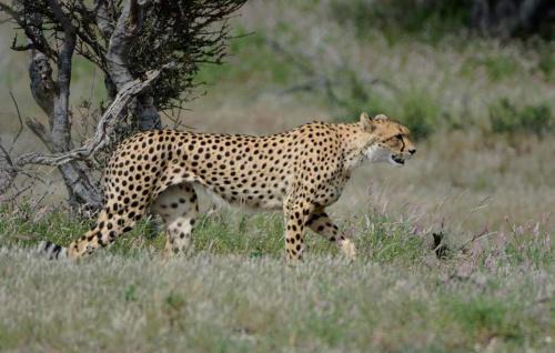 Hazyview Maison | Ashridge Guesthouse & Safaris