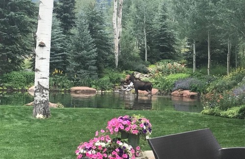 Aspen Maison | Aspen Oasis on the River