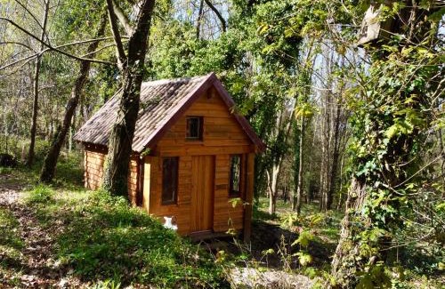 Branca Maison | Associação Quinta das Relvas