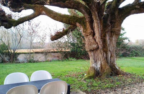 Braye-Sous-Faye Appartement | Au repos des elfes. "Les licornes n'y voient que du bleu", gîte 3* à Richelieu
