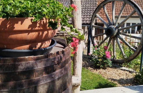 Cunfin Maison | Au pied du vignoble Champenois maison située entre vignes et forêt Champenoise