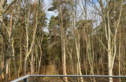 Juodkrante Appartement | At the Forest Edge