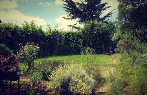 Faveraye-Machelles Cottage | Gîte 3 épis avec piscine, vignoble du Layon, 5 personnes, idéal pour famille.