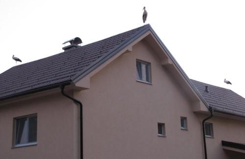 Ljutomer Appartement | Atera