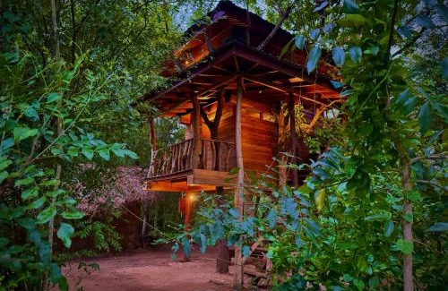Dambulla Cabine | Attale eco resort