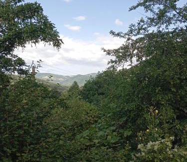 Saint-Agreve Maison | Au cœur de saint Agrève -Séjour Chez l'habitant