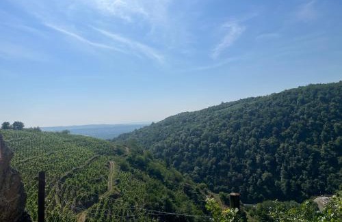 Malleval Maison | Au Cœur des Vignes